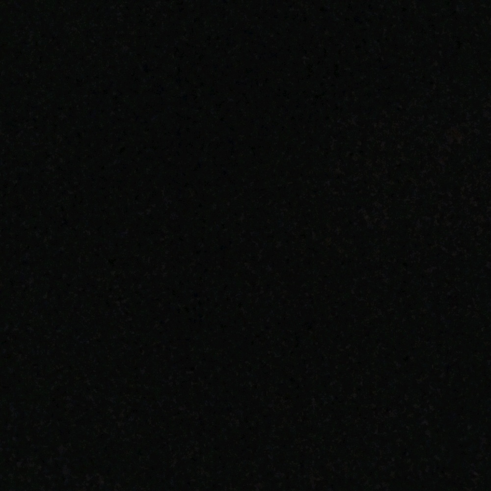 Meet your Posher, Maddy